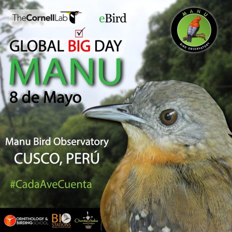 Manu Global Big Day