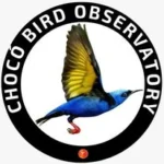 Chocó Bird Observatory